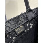 DIOR Tote latest spring and summer